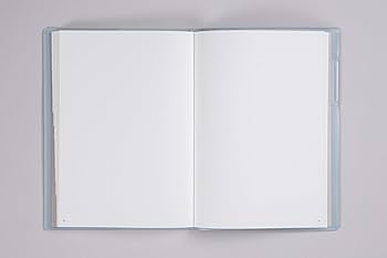 かこ4.5.6月分A Amazon.co.jp: 能率 プチペイジェム 手帳 リフィル 2025年 ミニ6